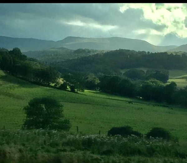 uk-transition-scale-up