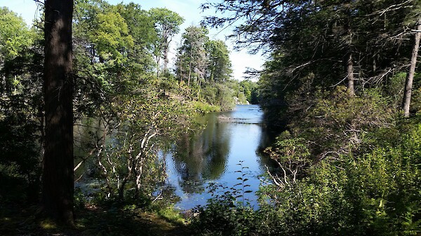 uk-transition-scale-up